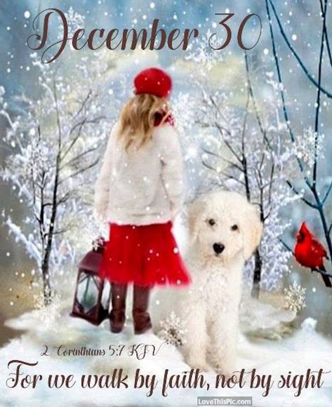 December 30 Pictures, Photos, and Images for Facebook, Tumblr, Pinterest, and Twitter December Scriptures, December Pictures, Words Of Faith, Christmas Verses, December Quotes, Winter Friends, Christmas Bible Verses, Happy Morning Quotes, Christmas Bible