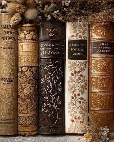 Light Academia Books, Victorian Literature, Library Aesthetic, Vintage Book Covers, Personal Aesthetic, Bookish Things, Gloomy Day, Golden Glow, Brown Aesthetic