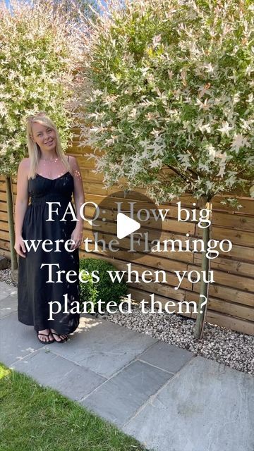 Stephanie Larbey on Instagram: "Answers: We planted these Salix Flamingo trees 3 year ago and they’ve really thrived in our garden. 

We give them a really decent cut back every Winter and a small trim in the Summer. We don’t feed them anything just lots of water! 

#gardening #gardeninspiration #gardenideas #gardeninspo #gardening4pleasure #gardeninglife #gardeningtips #gardening_feature #gardeningideas #gardeninspirations #salixflamingo #gardenstyle #houseandgardenstyle #gardentherapy #yourhomesandgardens #gardencenter #myhomeandgarden #myhomestyle #myhometrend #myhome2inspire #myhomevibe" Flamingo Tree Garden, Flamingo Salix Tree, Salix Flamingo Tree Border, Salix Flamingo Tree, Privacy Garden Ideas, Flamingo Tree, Tree Borders, Flamingo Garden, Privacy Fence