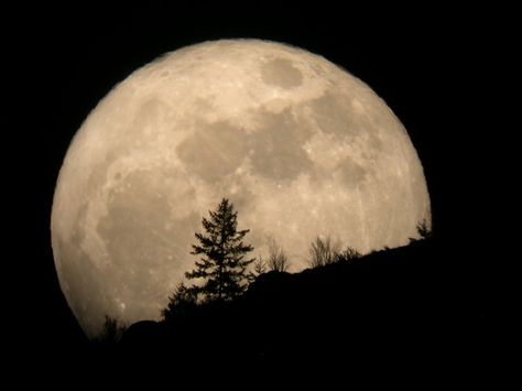 In honor of the Easter Moon last night...It was so beautiful sitting in my little courtyard lit up with silver white light. I stared up at the moon and the dark sky and stars (of course it looked nothing like this photo, but it was pretty darn close!) Worthy Quotes, रोचक तथ्य, Meteor Shower, Super Moon, Beautiful Moon, To Infinity And Beyond, Over The Moon, May 5, Sun Moon