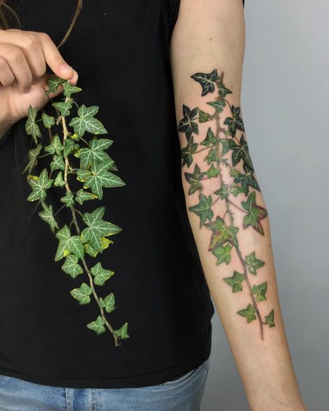 Flower Arm Tattoo, Ivy Tattoo, Green Tattoos, Best Tattoo Ever, 13 Tattoos, Men Tattoos Arm Sleeve, Flower Tattoo Arm, Vine Tattoos, Doodle Tattoo