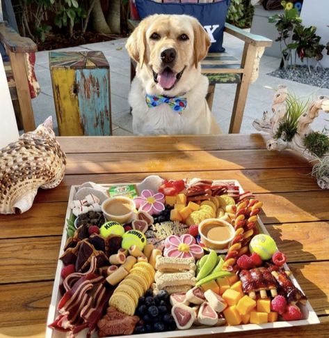 Dog Boutique Ideas, Dog Business, Dog Birthday Cake, Dog Enrichment, Charcuterie Inspiration, Dog Cakes, Raw Dog Food Recipes, Puppy Birthday, Dog Birthday Party