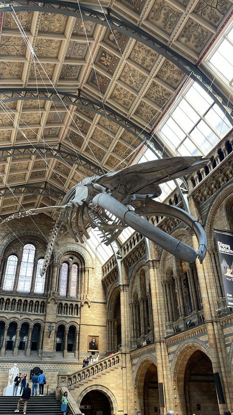 New York Museum Aesthetic, British Museum Aesthetic, Science Museum Aesthetic, History Museum Aesthetic, National History Museum London, Dinosaur Rawr, National History Museum, Natural History Museum London, London 2023