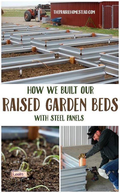 How We Built Our Raised Garden Beds with Steel Panels Plantarea Legumelor, Taman Diy, Garden Plot, Horse Manure, Raised Bed Garden Design, Building Raised Garden Beds, Vegetable Garden Raised Beds, Vertical Vegetable Garden, Building A Raised Garden