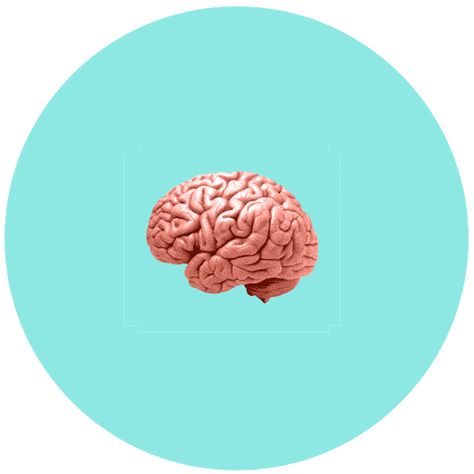 visual content brain Brain Animation, Brain Gif, Healthy Brain, Visual Content, Motion Design, Biology, Cool Gifs, Brain, Motion