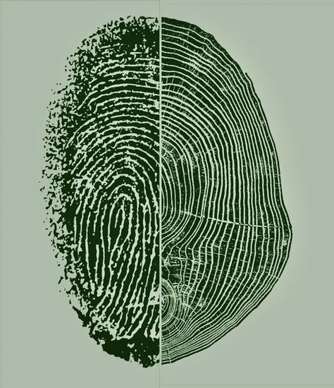 Concentric Circles In Nature, Nature And Human Connection, Nature Connection Art, Tree Stump Rings, Rings Of A Tree, Tree Ring Illustration, Tree Rings Logo, Human And Nature Art, Fingerprint Illustration