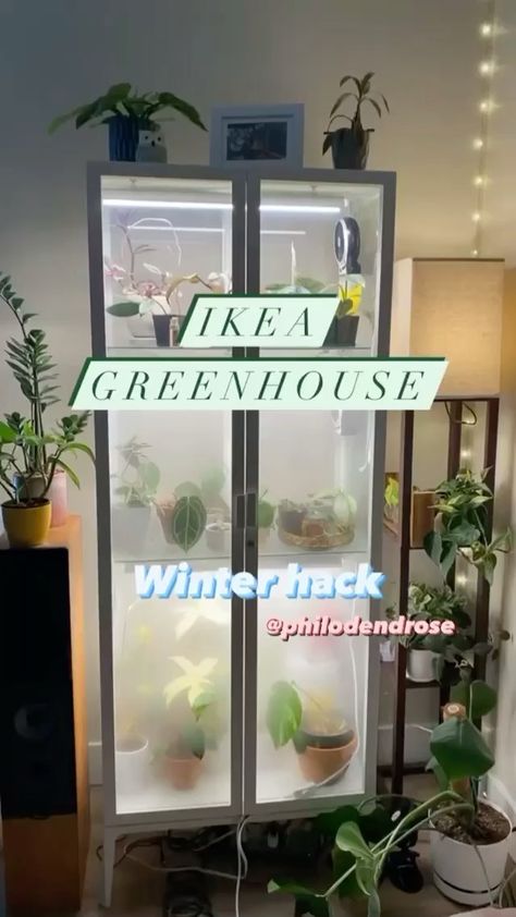 indoorplants_decor on Instagram: IKEA Greenhouse is the perfect plant hack for the winter ❄️, this is a smart hack for keeping plants thriving all through the colder darker… Mini Greenhouse Indoor, Ikea Greenhouse, Diy Mini Greenhouse, Greenhouse Diy, Ikea Plants, Winter Coming, Plant Goals, Indoor Greenhouse, Greenhouse Plants