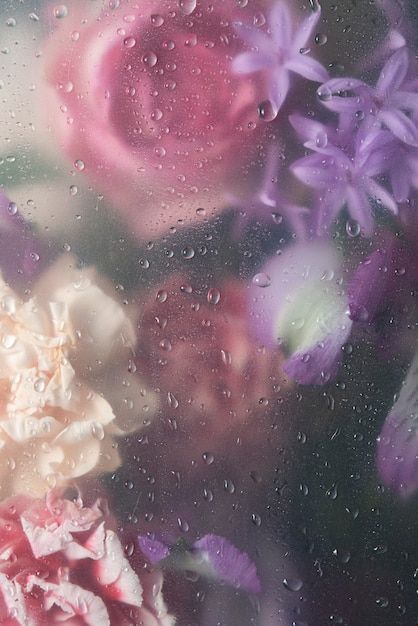 View of flowers through condensed glass | Free Photo #Freepik #freephoto #flower #blooming-flower #blooming #blossom-flower Wet Screen Wallpaper Flower, Flowers Under Wet Glass Wallpaper, Wet Flowers Wallpaper, Wet Flowers, Rainy Wallpaper, Flower Background Images, Wallpaper Flowers, Flowery Wallpaper, Floral Wallpaper Phone