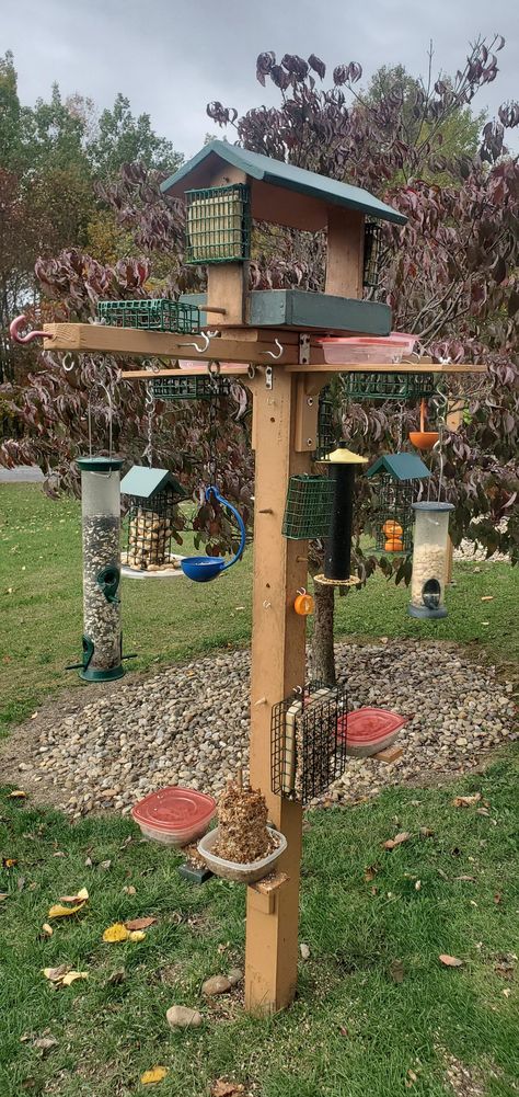 Hopper Bird Feeder, Bird Feeder Hanging Ideas, Ways To Hang Bird Feeders, Bird Feeder Area, Wildlife Feeding Station, Diy Large Bird Feeder, Bird Oasis Backyard, Bird Feeder Setup, Platform Bird Feeder Diy