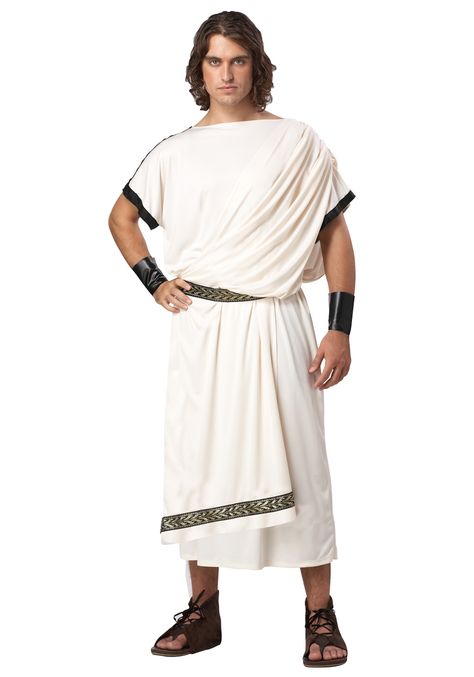 Deluxe Men's Toga Costume Mens Toga Costume, Greek Toga, Greek God Costume, Roman Toga, Toga Costume, Toga Party, Roman Costume, Greek Costume, Great Halloween Costumes