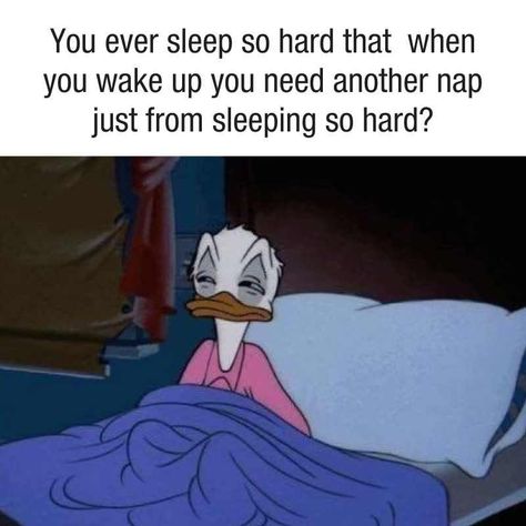 Sleep Cartoon, Captions For Guys, Sleep Meme, Funny Photo Captions, Virgo Memes, Cartoon Disney, Sleep Funny, Old Disney, Funny Reaction Pictures