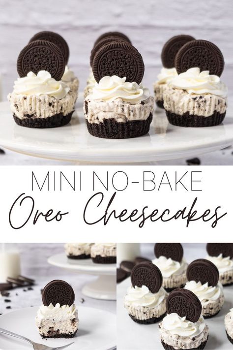 Cookie Crumb Crust, Mini Oreo Cheesecake, Crumb Crust, Oreo Desserts, Oreo Cheesecake Recipes, Oreo Dessert Recipes, Mini Dessert Recipes, Fresh Whipped Cream, Mini Cheesecake Recipes