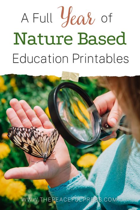 Study the great outdoors with an entire year of Nature Guides for preschool homeschool. The sets of printable nature based curriculum are the perfect unit studies for beginning homeschooling with your toddler. Each explores various themes from the farm, trees, mountains, and more! All our homeschool lessons are based on Charlotte Mason and Montessori methods. Download the free booklist for 100 kid's books about nature! Sign up to receive a week of sample curriculum at ThePeacefulPreschool.com Nature Science Preschool, Nature Study Curriculum, Forest School Printables, Preschool Forest School Activities, Charlotte Mason Co-op, Nature Activity Preschool, Nature Study For Preschoolers, Nature Based Preschool Curriculum, Preschool Nature Study