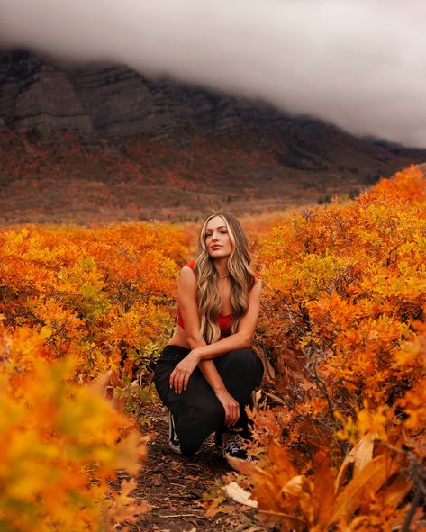 🍁 Your Fall Photoshoot Awaits! 🍁 Ready to capture the stunning fall colors? As you can see from these photos I know a little something about taking pictures in fall. Whether it’s Utah’s breathtaking mountains, a cozy pumpkin patch, a fun spooky photoshoot, or an out-of-state adventure, I’m your go-to photographer for all things autumn. Booking now message me! 💌 #utahinfall #autumn #autumnphotoshoot #utahphotographer #fallphotography Fall Canyon Photoshoot, Fall Mountain Photoshoot, Fall Photo Shoots, Spooky Photoshoot, Mountain Photoshoot, Fall Shoot, Fall Senior Pictures, Fall Photoshoot, Fall Photos