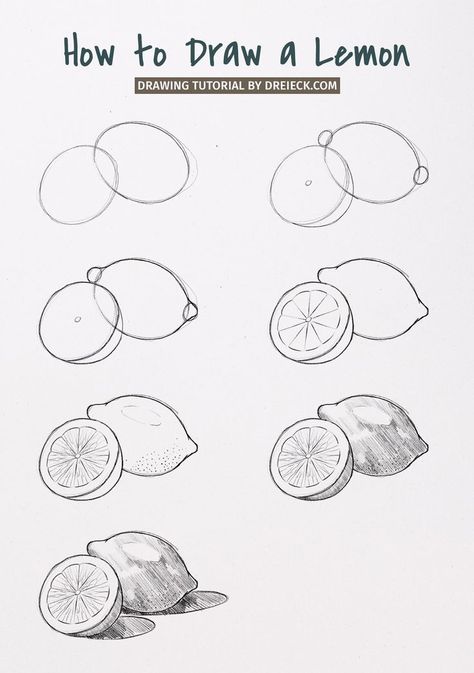 Let’s draw a lemon! Today I’ll show you a bulletproof way to draw one and a half lemon step by step. The only tools you will need are a simple pencil and a rubber. In fact, this tutorial is the perfect foundation to draw any kind of lemons or even other fruits with similar shapes! Sketching How To Step By Step, Draw Beginner Step By Step, Learn Art Step By Step, Beginner Art Ideas Pencil, Easy Art Step By Step, Chiaroscuro Drawing Easy, How To Sketch Step By Step, Basic Of Drawing Step By Step, Learn How To Sketch For Beginners