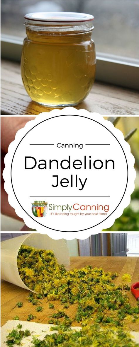 Easy Canning, Home Canning Recipes, Dandelion Jelly, Jam And Jelly, Jelly Recipes, Dandelion Recipes, Home Canning, Wild Edibles, Wild Food