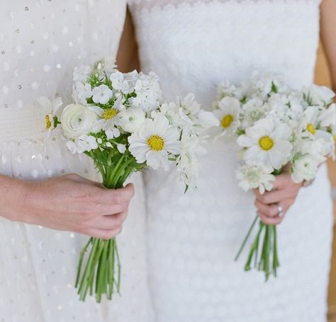 Simple bouquets can have a big impact. Sweet daisies and white roses :) Daisy Bridesmaid Bouquet, Simple Bridesmaid Bouquets, Small Bridesmaid Bouquets, Wildflower Bouquets, White Bouquets, Farm Flowers, Bridesmaid Bouquet White, White Cosmo, Rockabilly Wedding