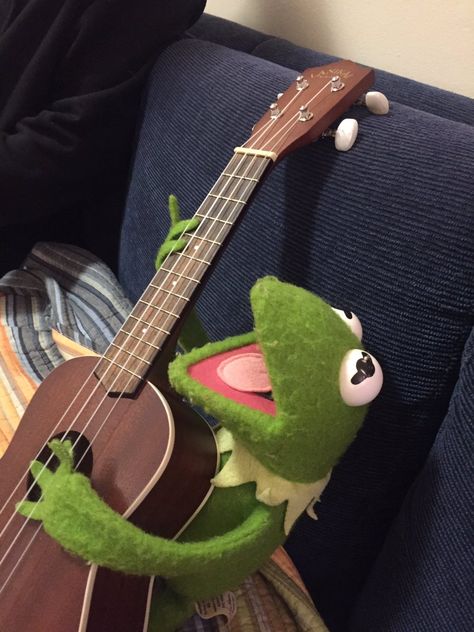 U WHEN UR BARD BRINGS OUT THE FUCKIN LUTE IN DND Sapo Kermit, Half Elf Bard, Elmo And Friends, Tiefling Bard, Kermit Funny, Koci Humor, Mode Hippie, Kermit The Frog, Ukelele