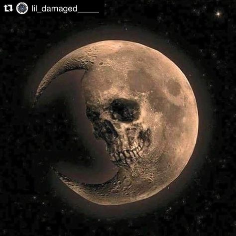 For more posts like this follow @lil_damaged_____ #gothic#gothicgirl#moon#halfmoon#skull#goth#independentartist#independentmusician#gothopermetal#goth#opera#metal#metalgirl Model Tattoo, Horror Vintage, Skull Pictures, Skull Artwork, Skull Wallpaper, A Skull, Creepy Art, Skull Tattoos, Skull And Bones