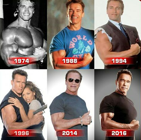 Arnold Schwarzenegger Evolution Arnold Motivation, Arnold Schwarzenegger Body, Schwarzenegger Son, Arnold Workout, 90 Day Transformation, Arnold Schwarzenegger Bodybuilding, Schwarzenegger Bodybuilding, 남자 몸, Gym Inspiration