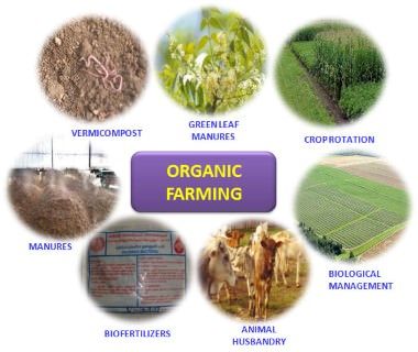 Organic Farming, Bio-Fertilizers and Their Use in Agriculture | PMF IAS Dr Organic, Nitrogen Fixation, Organic Agriculture, Natural Farming, Organic Pesticide, Farming Techniques, Farming System, Compost Tea, Crop Rotation