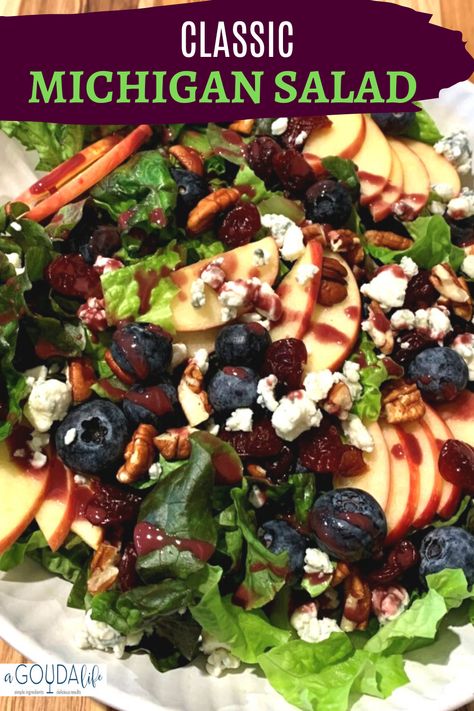 The absolute best Michigan Cherry Salad. Romaine, dried cherries, blueberries, apples, blue cheese and a simple homemade raspberry vinaigrette. #michigansalad #saladrecipes #saladwithfruit #raspberryvinaigrette #healthyeating #classicsalads #agoudalife Michigan Salad Recipe, Cherry Salad Dressing, Michigan Cherry Salad, Cherry Salad Recipes, Dried Cherry Recipes, Michigan Restaurants, Cherry Salad, Cherries Salad, Blueberry Salad