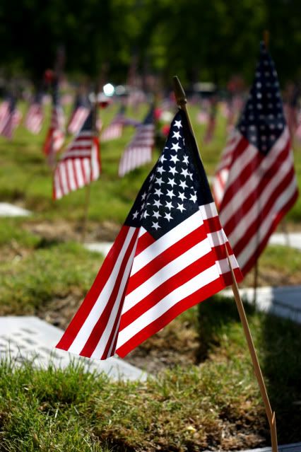 Friday Photo Flashback: Memorial Day 2009 | Soldier's Wife, Crazy Life Memorial Day Pictures, Soldier Wife, I Love America, American Flags, Home Of The Brave, Happy Memorial Day, Patriotic Holidays, Land Of The Free, Crazy Life