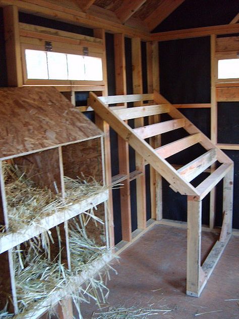 Laying boxes and sleeping latter. The staggered latter prevents hens from soiling one another while they roost at night in these boards. Chicken Nesting Box And Roost, Roosting Boxes For Chickens, 5x5 Chicken Coop Plans, Nesting Boxes Inside Coop, 8x8 Shed Chicken Coop, Laying Box Ideas, Diy Laying Boxes, Laying Hens Coop Ideas, Roost For Chicken Coop