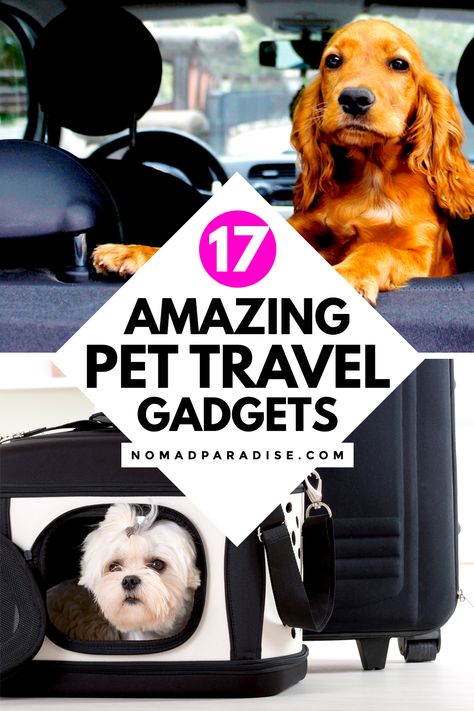 Dog Travel Essentials, Cat Travel Accessories, Dog Car Travel, Road Trip With Dog, Dog Travel Accessories, Dog Friendly Vacation, Pet Travel Bag, Pets Accessories, Travel Dog