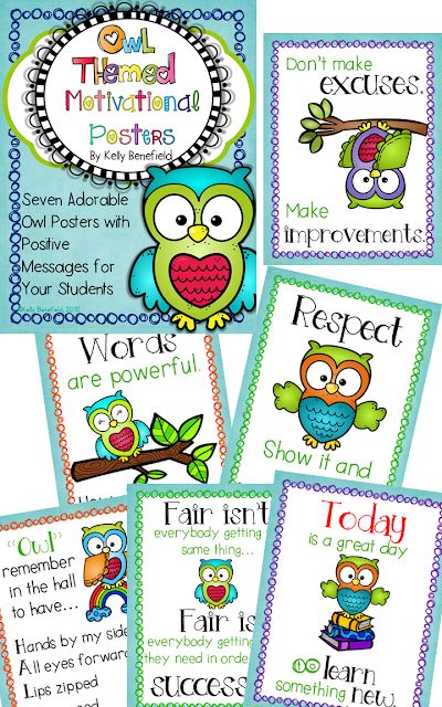 Owl Classroom Decor, Teaching Displays, Intervention Classroom, Owl Theme Classroom, Owl Classroom, Tutoring Business, Owl Posters, Class Theme, Classroom Decor Themes