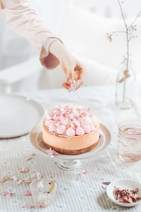 Sakura Cheesecake, Chocolate Pumpkin Desserts, Cheesecake Photography, Food Photography Cake, Food Photography Dessert, Mousse Cake Recipe, Berry Cheesecake, Dessert Photography, Spring Cake