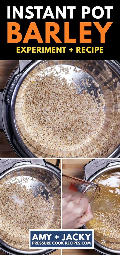 instant pot barley | instant pot pearl barley | pearl barley pressure cooker Barley Instant Pot, Ip Rice, Pearled Barley, Barley Water, How To Cook Barley, Barley Recipe, Beef Barley, Beef Barley Soup, Pearl Barley