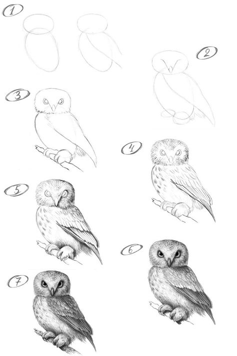 How to draw an owl with a pencil step-by-step drawing tutorial How To Sketch Animals Step By Step, Owl Realistic Drawing, Eagle Owl Drawing, Realistic Cat Drawing Step By Step, How To Draw Realistic Animals Step By Step, How To Paint An Owl Step By Step, Owl Drawing Tutorial, Drawing Owls Easy Step By Step, Animals Step By Step Drawings