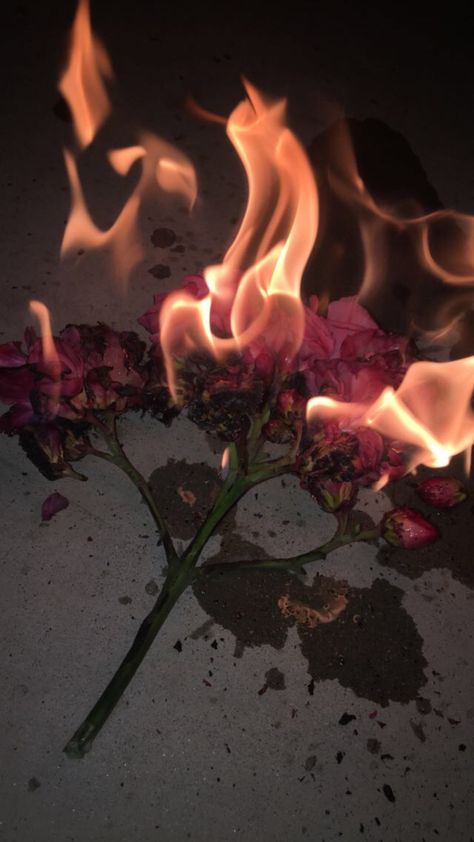 Burning Flowers Aesthetic, Burning Letters Aesthetic, Burned Aesthetic, Indigo Photoshoot, Burning Photography, Paper On Fire, Burning Aesthetic, Burnt Out, Kiki Core