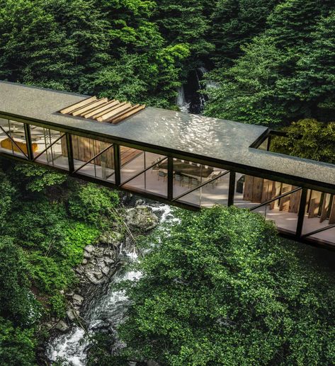 Farmhouse in Catargo, Costa Rica by Tetr|Visualization Architecture Blending With Nature, Architecture In Forest, Continuity Architecture, Forest House Architecture, Forest Architecture, Forest Hotel, Bridge House, Ecological House, Jungle House