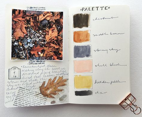 Colour Palette Sketchbook, Colour Journal, Color Journal, Color Wheels, Cloth Paper Scissors, Watercolor Art Journal, Coloring Journal, Unique Journals, Color Study