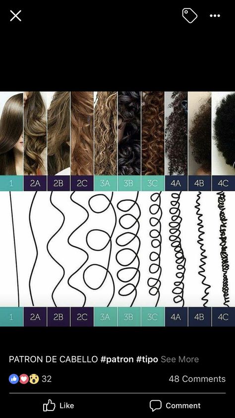 Check more at https://howcandothis.com/womenstyle/49976/ Texture Release Hair Natural, Cosmology School, Braiding Tips, Type 3 Hair, Around The World Cruise, Natural Hair Pictures, Curl Types, Black Hair Video, 4a Hair