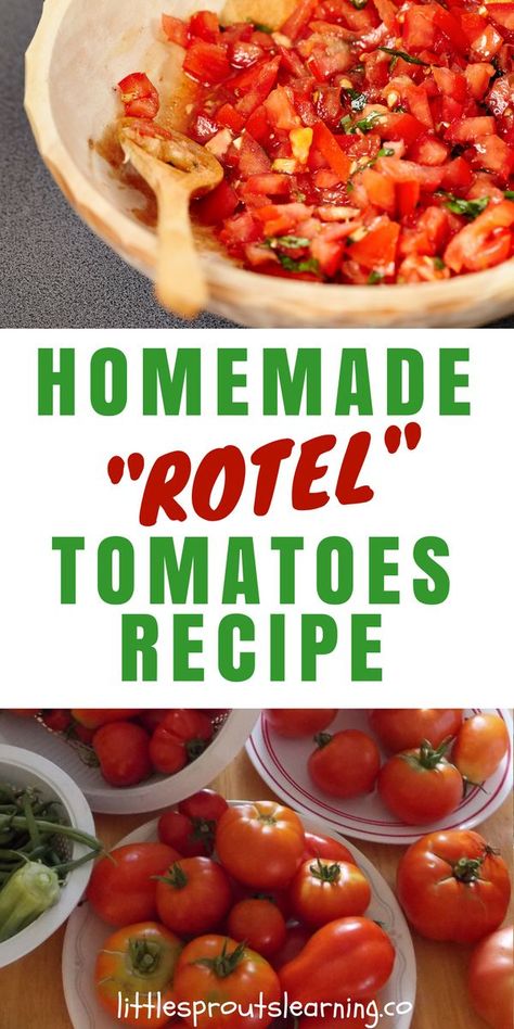 HOMEMADE ROTEL RECIPE: Rotel tomatoes are a spicy diced tomato product with green chilies for heat. It's a great flavor enhancer for dishes like queso, casseroles, and soups. You can make your own Rotel tomatoes recipe with your garden tomatoes this summer and fill your freezer full of flavor for the whole year. Tomatoes With Green Chilies Recipes, Tomatoes For Chili, Homemade Rotel Tomatoes, Housewife Skills, Rotel Recipe, Homemade Rotel, Football Dips, Recipes With Diced Tomatoes, Diy Condiments