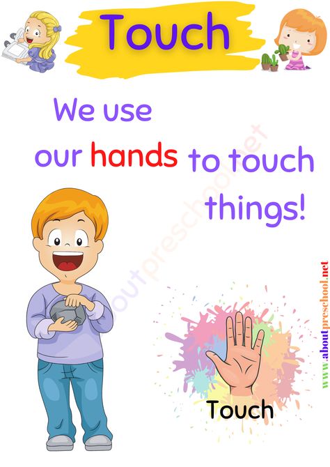 5 Senses Lesson Plan, 5 Senses Activities Kindergarten, Kindergarten 5 Senses, 5 Senses Activities For Preschoolers, Body Kindergarten, 7 Senses, Body Parts Preschool Activities, 5 Senses Activities, My Five Senses