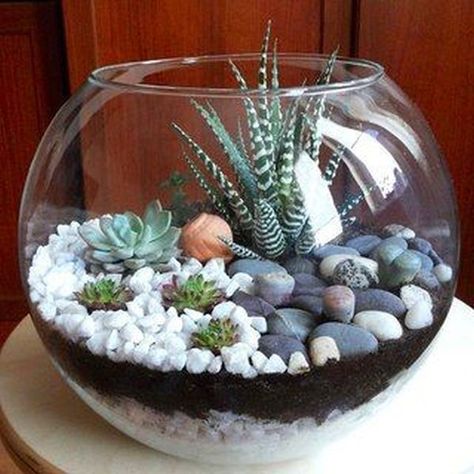 Small garden in a glass bowl – arrangements ideas with succulent plants Regardless of the season and the moment we choose, the floral arrangements are all the same. I mean, it’s spectac… Mini Succulent Garden, Terrariums Diy, Cactus Terrarium, Succulent Bowls, نباتات منزلية, Succulent Garden Diy, Succulent Gardening, Garden Terrarium, Terrarium Diy