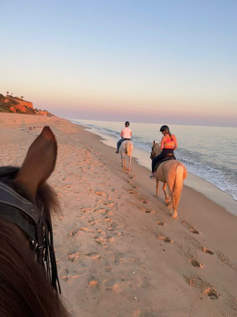 Horse Riding On Beach Aesthetic, Horses On The Beach Aesthetic, Horse Ride On Beach, Horse Riding At The Beach, Horse Riding Aesthetic Beach, Horse Back Riding On Beach, Horse On Beach Aesthetic, Horse Beach Aesthetic, Horseback Riding On Beach