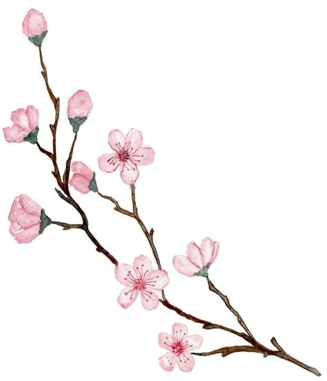 Cherry Blossom Design, Blossom Design, Cherry Blossom, Pink Flowers, Acrylic Painting, Blossom, Cherry, Flowers, Pink