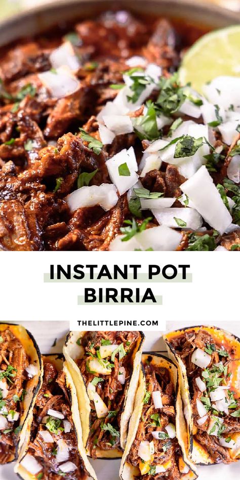 Instant pot birria is a traditional Mexican stew with a mouthwatering depth of flavor that’ll keep you coming back for more. Beef Birria Instant Pot, Birria Crock Pot Recipes, Instant Pot Birria Tacos Recipe, Easy Instant Pot Birria Tacos, Lengua Recipe Mexican Instant Pot, Beef Birria Recipe Mexican Instant Pot, Mexican Pot Roast Instant Pot, Mexican Pork Recipes Instant Pot, Insta Pot Birria Recipe