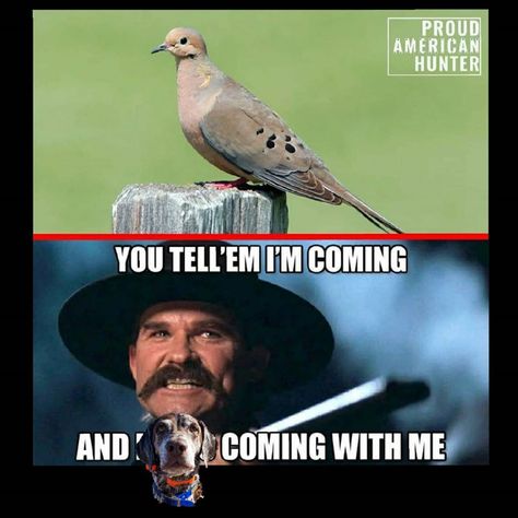 Benjamin Russo on Instagram: “Countdown to my favorite hunt of the year! 20 days until dove season and the memes never get old! . . . #dove #dovehunting #openingday…” Dove Season, Dove Hunting, The Memes, Bird Hunting, Getting Old, The Year, Hunting, My Favorite, Memes