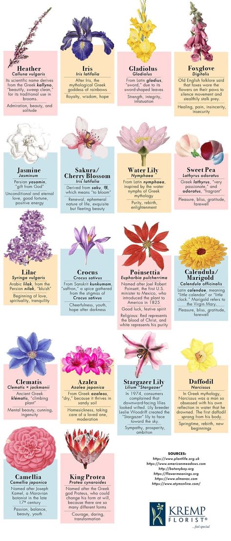 Flower Meanings Chart, Iris Flower Tattoo, Flower Chart, Flower Tattoo Meanings, Gladiolus Flower, Flower Guide, Flower Meanings, Flower Therapy, Flower Names