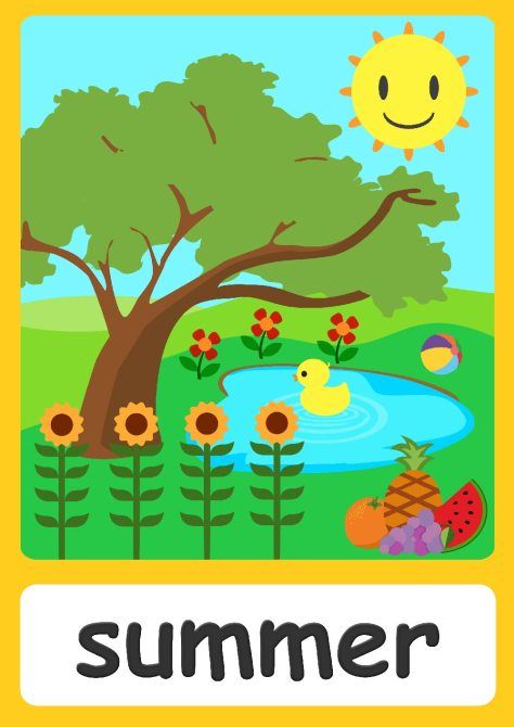 Season flashcards - Teach seasons - FREE Flashcards  Posters! How To Teach Seasons To Preschool, Seasons In English, Trees Preschool, Teaching Seasons, Seasons Flashcards, Flashcards For Kindergarten, Weather Flashcards, Weather For Kids, Weather Activities Preschool