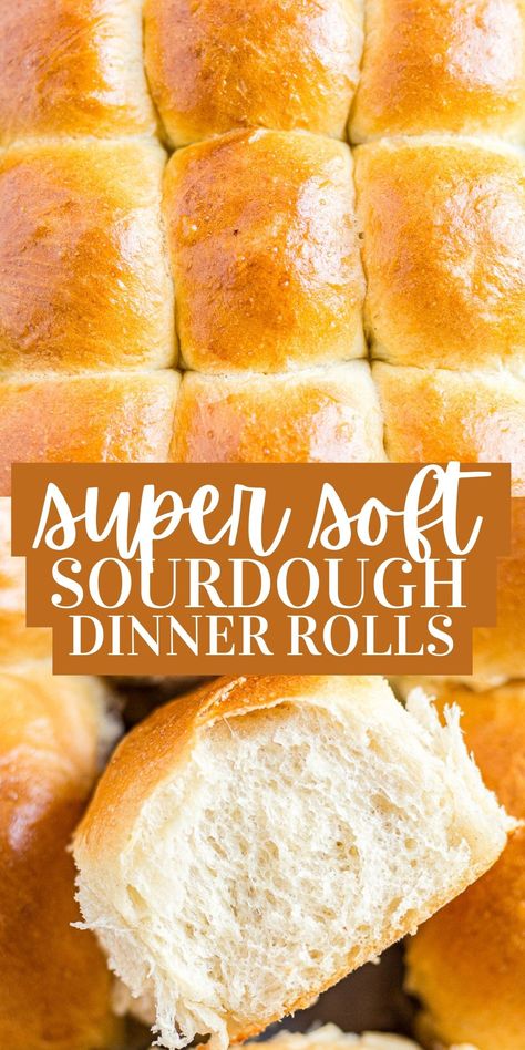 These ultra soft sourdough rolls are a dinner roll recipe you won't regret making! They're golden brown on the top, soft and stretchy on the inside and a show-stopping recipe for any meal. Sourdough Discard Rye Bread, Rye Buns Recipe, Soft Sourdough Rolls, Rye Sourdough Discard Recipes, Rye Rolls Recipe, Rye Biscuits, Rye Flour Recipes, Discard Dinner Rolls, Rye Sourdough Bread Recipe