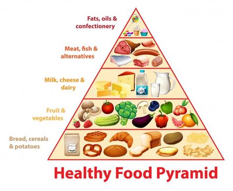 Healthy food pyramid chart Free Vector | Free Vector #Freepik #freevector #food #cartoon #fish #fruit Healthy Food Pyramid, Food Pyramid Kids, Healthy Eating Pyramid, Balanced Diet Chart, Healthy Food Chart, Education Cartoon, Kids Routine, Healthy And Unhealthy Food, Phone Codes