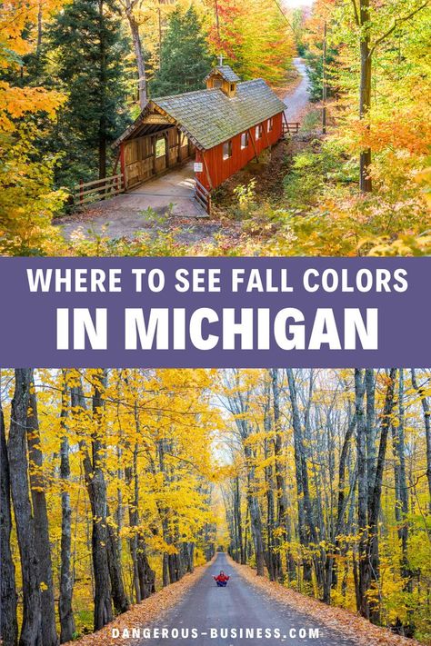 Covered Bridge and Fall foliage. With Text Reading: 10 BEST Places to See Fall Colors in Michigan. Fall Harvest Activities, Harvest Activities, Fall In Michigan, Michigan Road Trip, Fall Road Trip, Luxury Travel Destinations, Budget Friendly Travel, Romantic Weekend Getaways, Michigan Travel