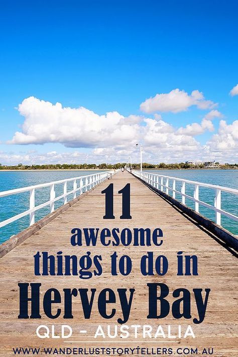 11 Awesome things to do in Hervey Bay, QLD (Australia). From the most popular Hervey Bay attractions, to the top 5 free activities, to things to do in Hervey Bay for kids! An awesome little town on the Fraser Coast to discover!  Read more on wanderluststoryte... Australia Travel Bucket Lists, Australian Road Trip, Hervey Bay, Fraser Island, Australia Travel Guide, Travel Jobs, Australian Travel, Oceania Travel, Visit Australia